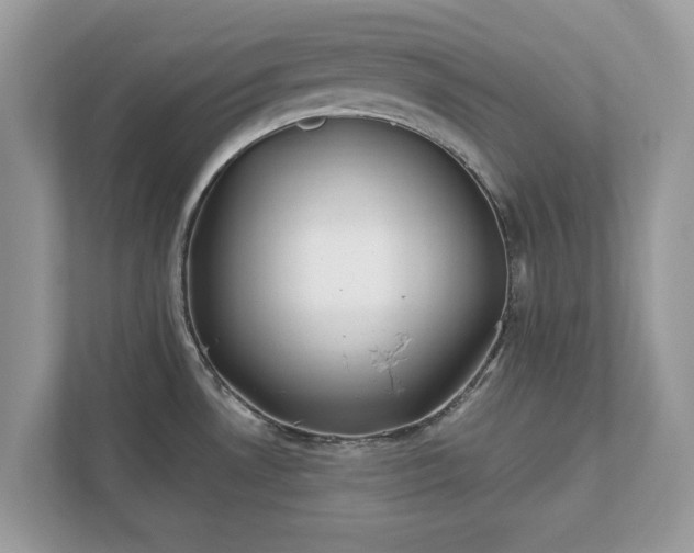 X0000111871530200907301106