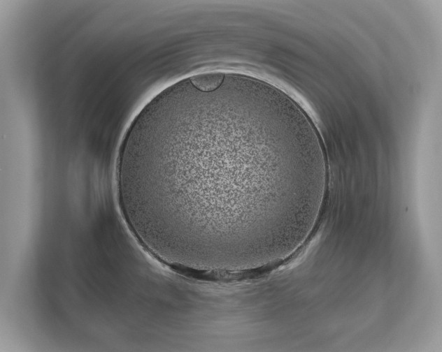 X0000111871533200907301106