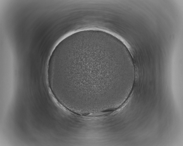 X0000111871534200907301106