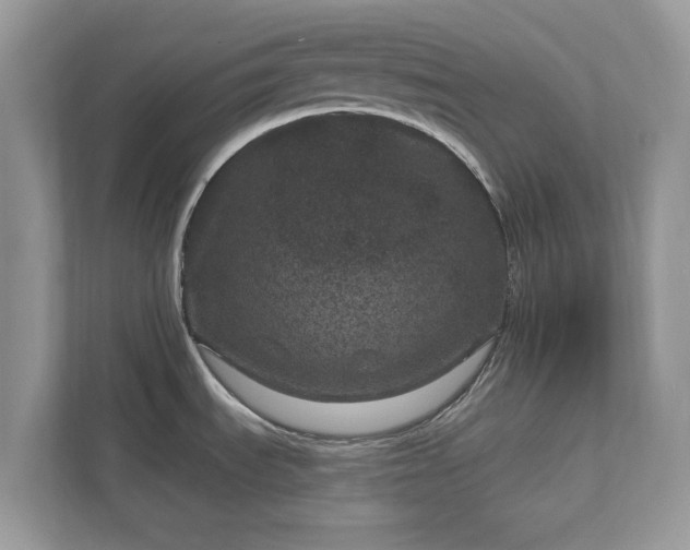 X0000111871535200907301106