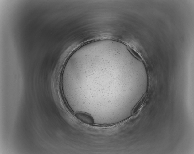 X0000111870001200908061303