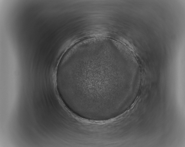 X0000111870002200908061303