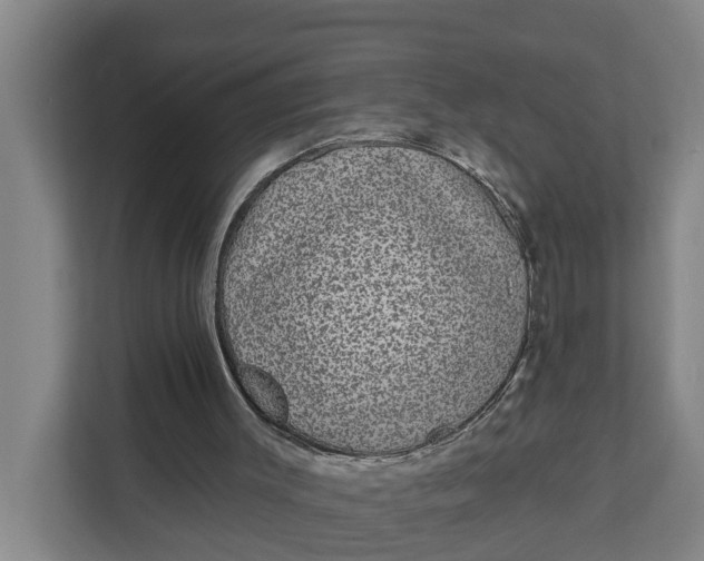 X0000111870003200908061303