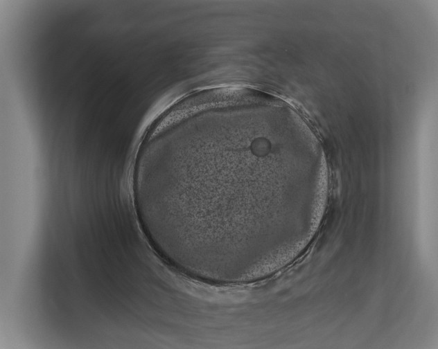 X0000111870004200908061303