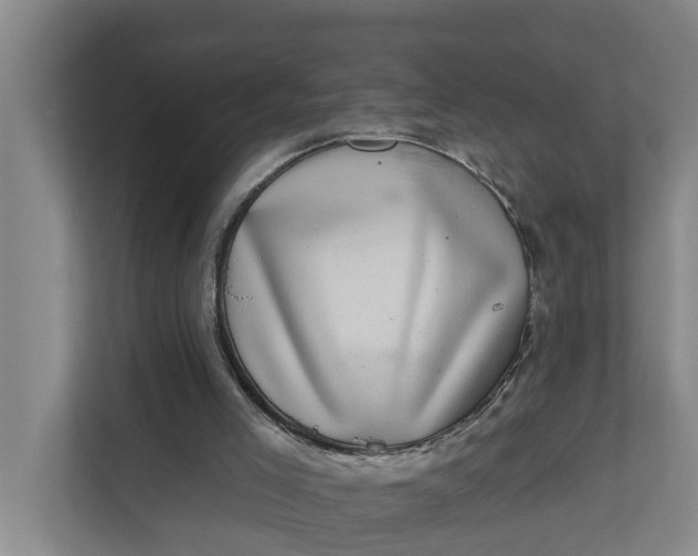 X0000111870005200908061303