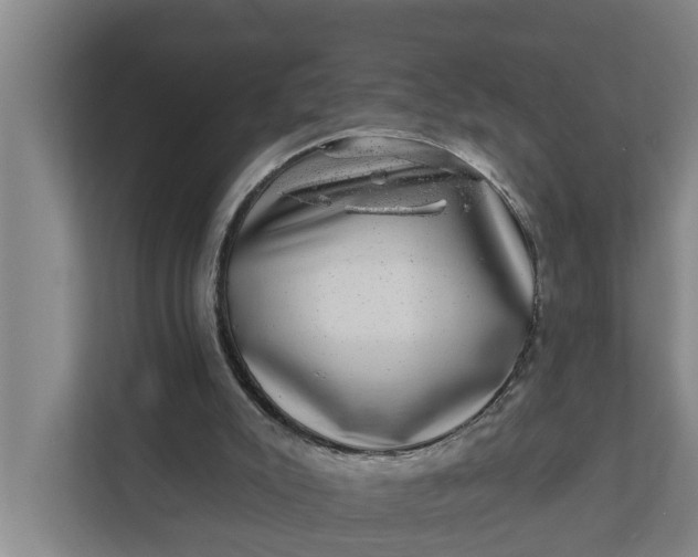 X0000111870007200908061303