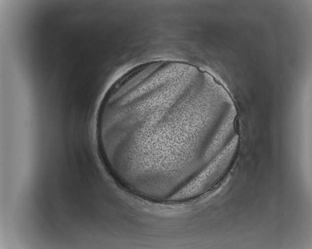 X0000111870008200908061303