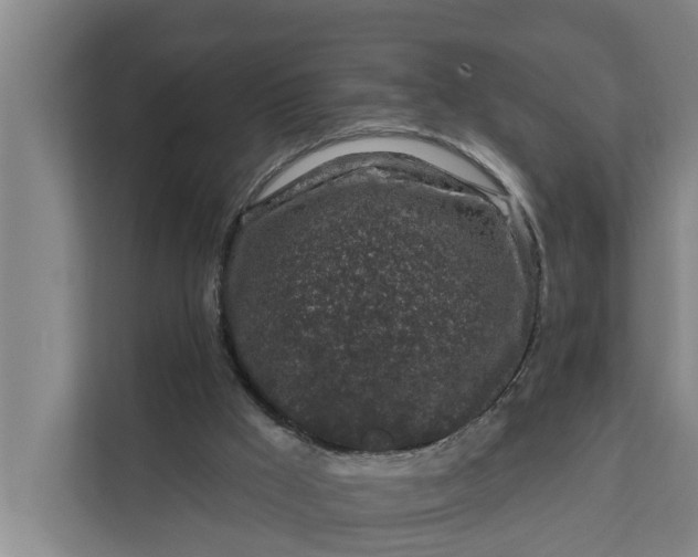 X0000111870009200908061303