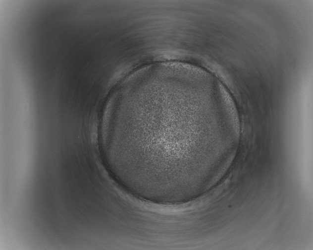 X0000111870010200908061303