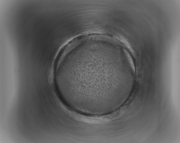 X0000111870012200908061303