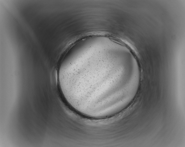 X0000111870013200908061303