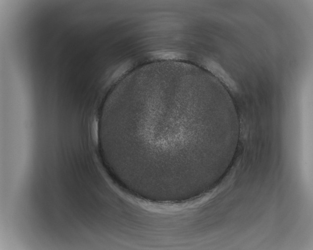 X0000111870014200908061303