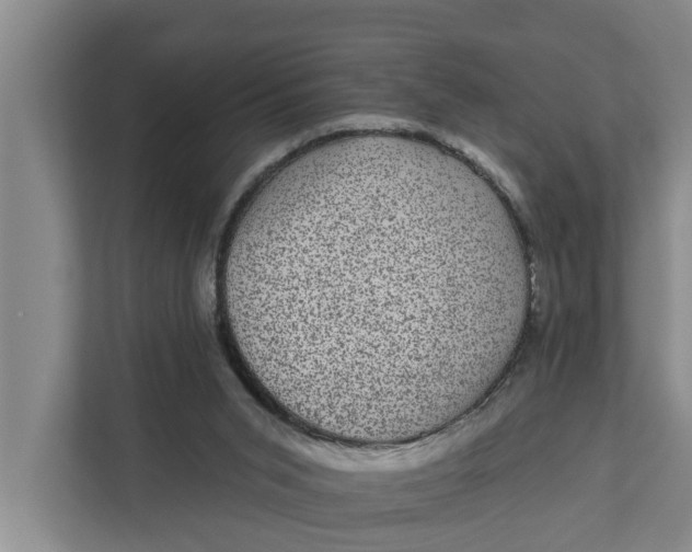 X0000111870015200908061303