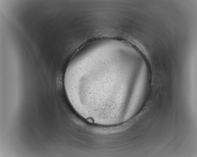 X0000111870017200908061303