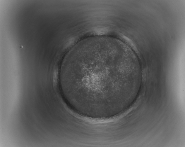 X0000111870018200908061303