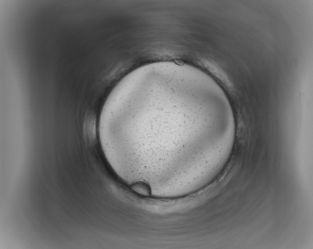 X0000111870021200908061303