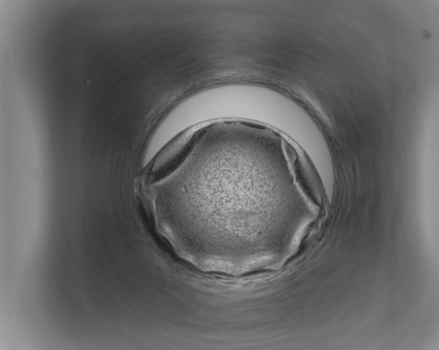 X0000111870023200908061303