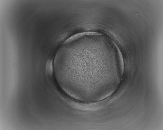 X0000111870028200908061303