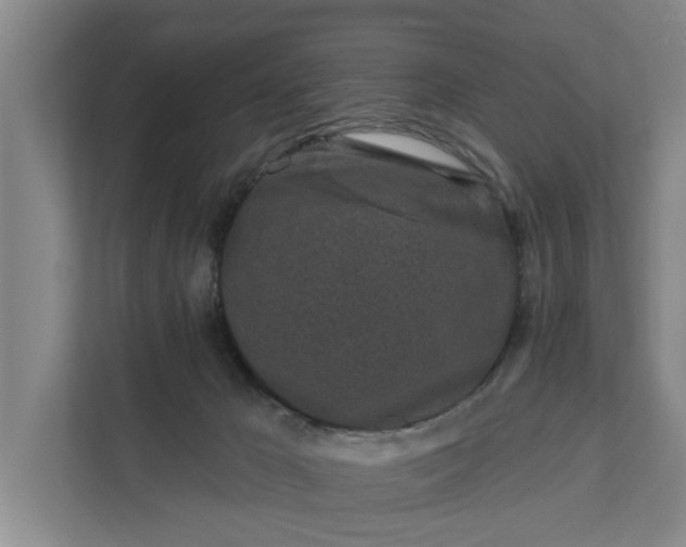 X0000111870029200908061303