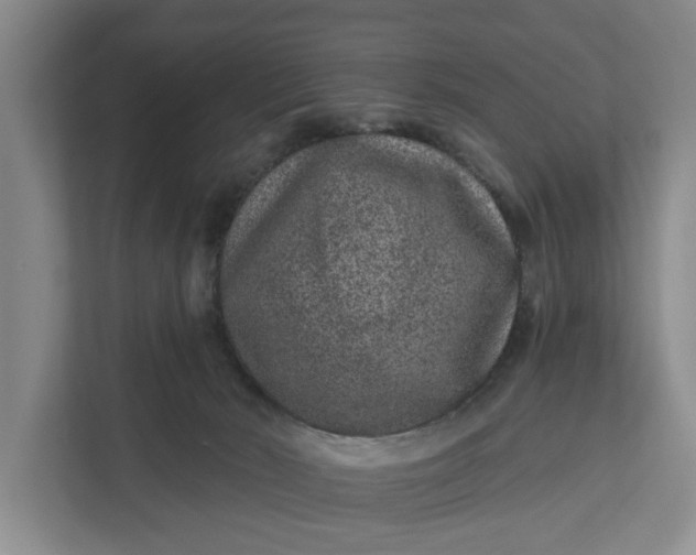 X0000111870030200908061303