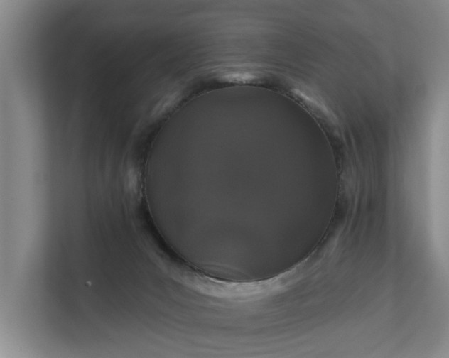 X0000111870031200908061303