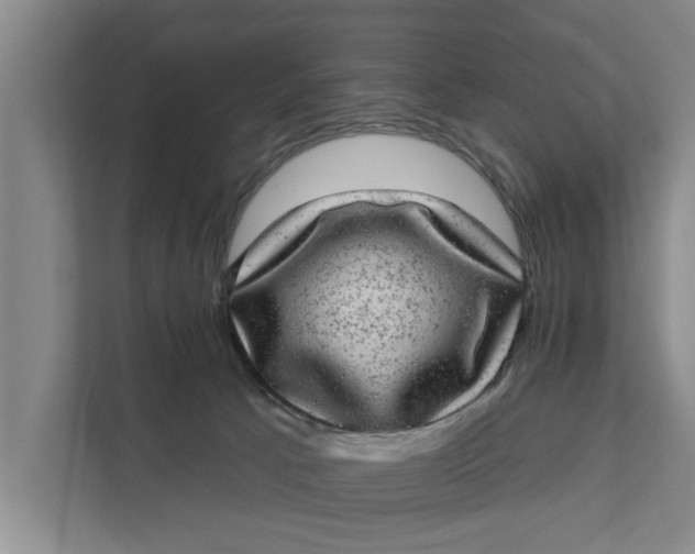 X0000111870033200908061303