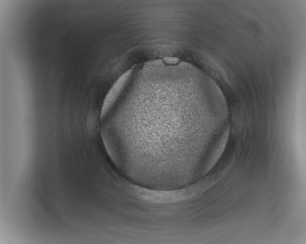 X0000111870034200908061303