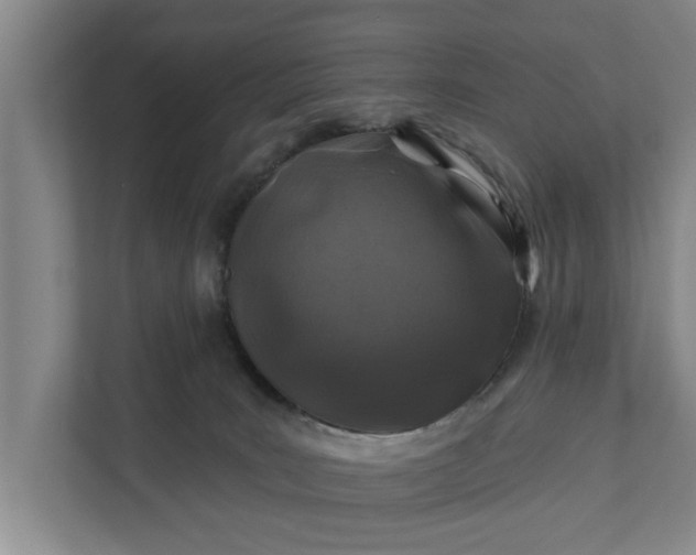 X0000111870035200908061303