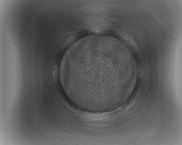 X0000111870036200908061303