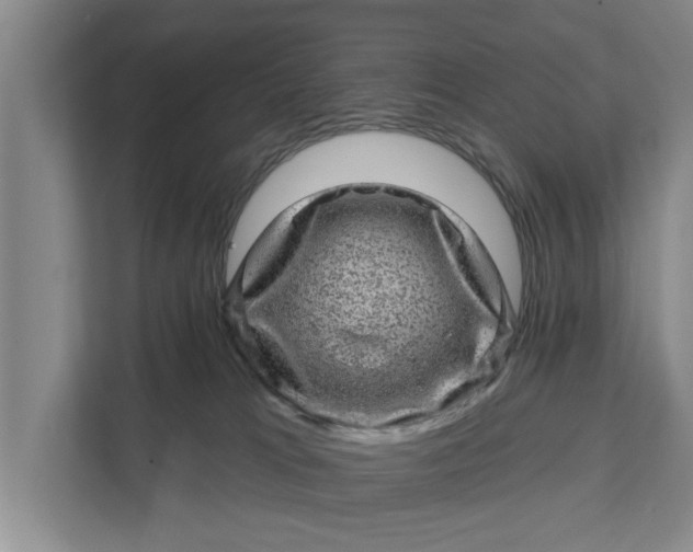 X0000111870037200908061303