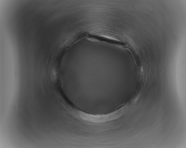 X0000111870039200908061303