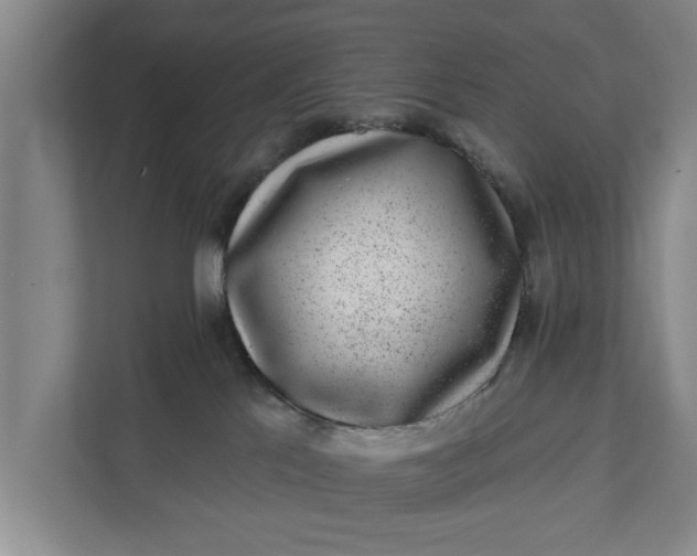 X0000111870041200908061303