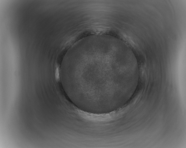 X0000111870042200908061303