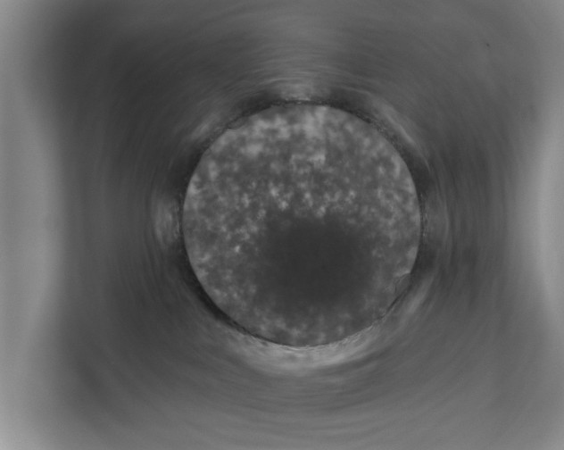 X0000111870043200908061303