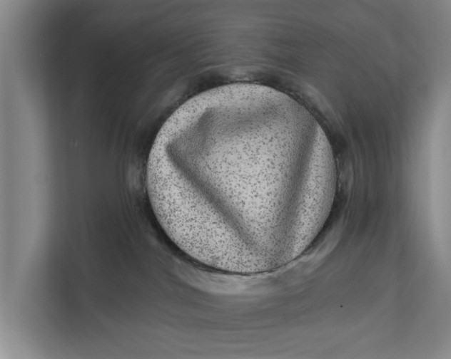 X0000111870044200908061302