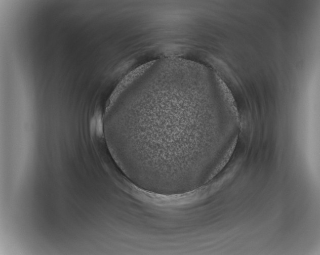 X0000111870046200908061302