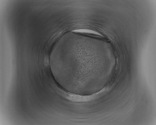 X0000111870048200908061302