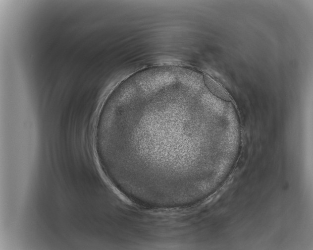 X0000111870049200908061302