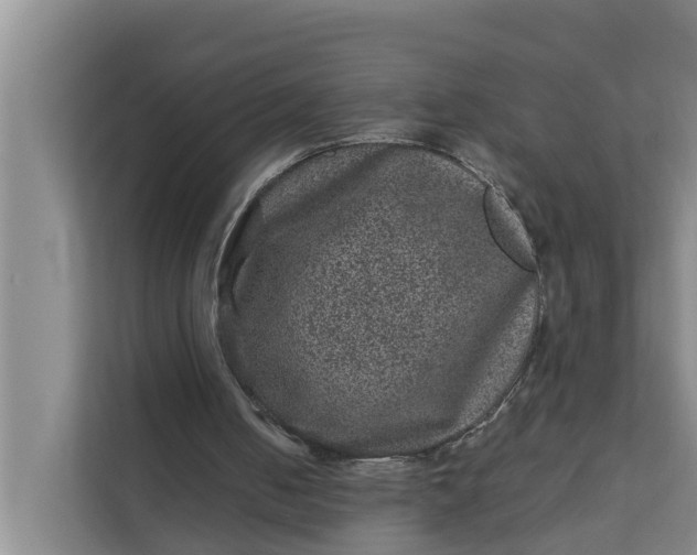 X0000111870050200908061302