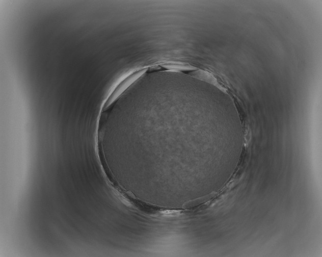 X0000111870052200908061302