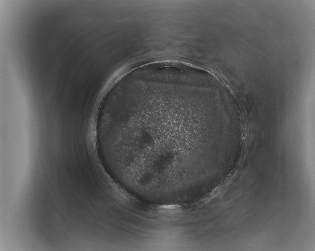 X0000111870053200908061302