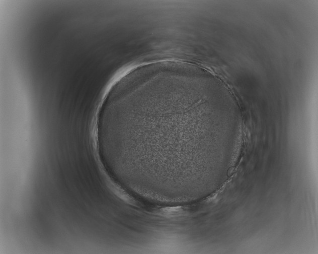 X0000111870054200908061302