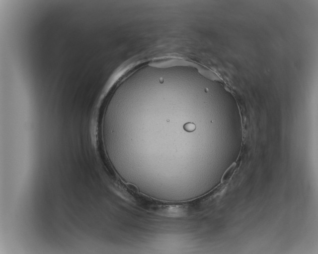 X0000111870056200908061302