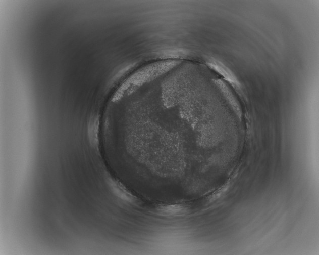 X0000111870058200908061302