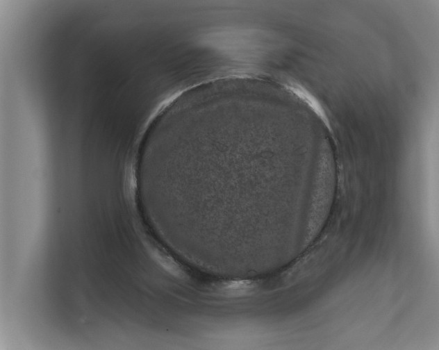 X0000111870059200908061302