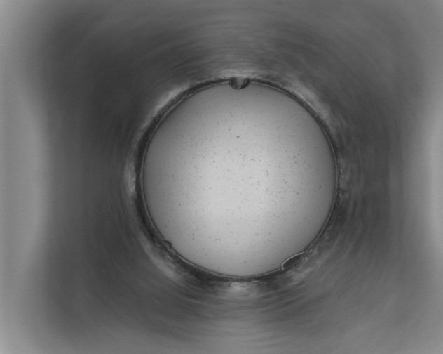 X0000111870060200908061302