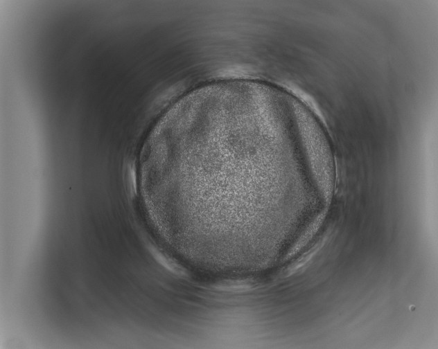 X0000111870061200908061302