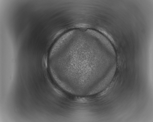 X0000111870062200908061302