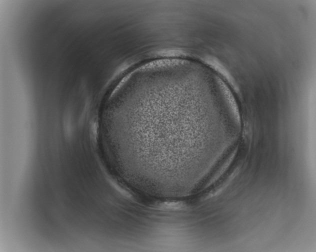 X0000111870063200908061302