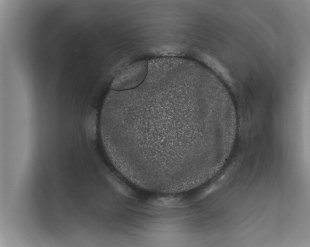 X0000111870065200908061302